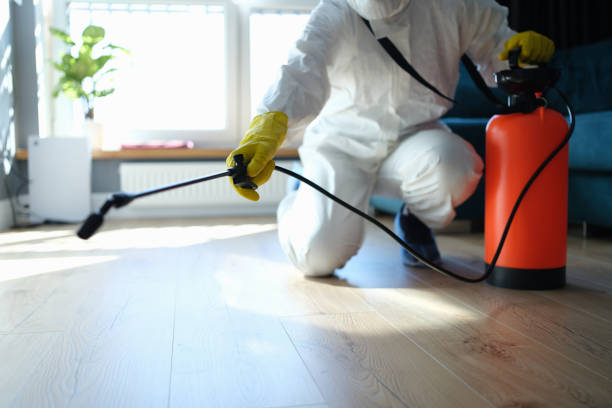 Reliable Biohazard Cleanup contractor in Stockton, IL by Dulley Family Biohazard Services
